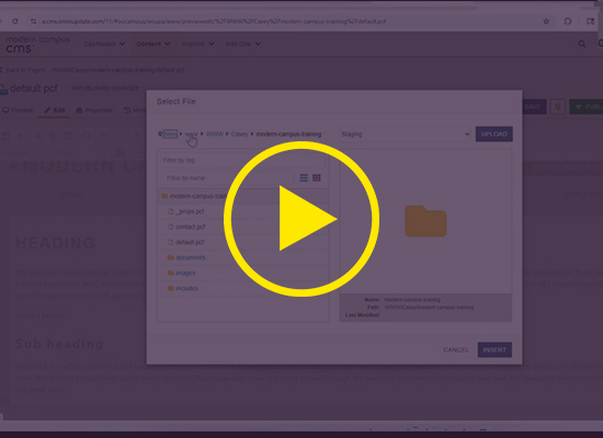 Adding Links and Creating Buttons